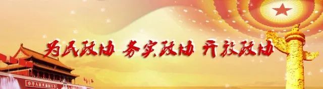 绳梯训练篮球_2